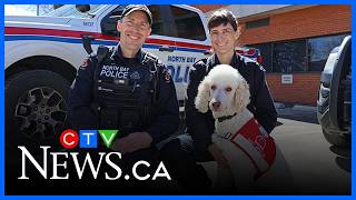New trauma support dog joins North Bay police force