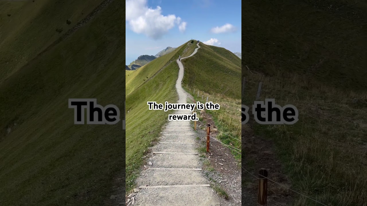 The Journey Is the Reward 🌿