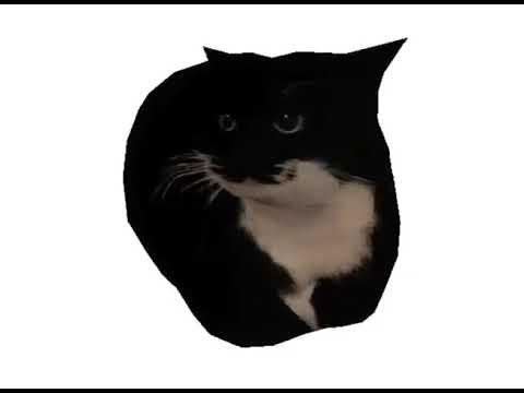 Как выглядит кот максвелл