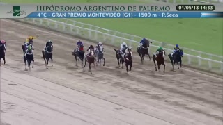 Hipódromo San Isidro Live Stream
