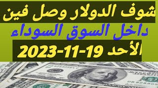 سعر الدولار اليوم |أسعار الدولار اليوم /اسعار الدولار السوق السوداء اليوم في مصر الأحد 2023/11/19