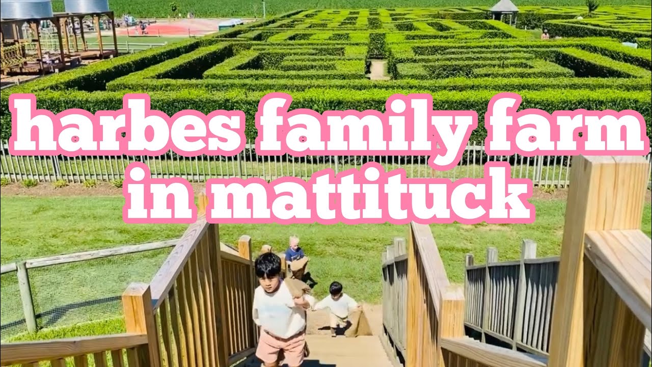 harbes family farm in mattituck YouTube