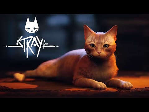 Stray 5 - El Gato Pichito contra el Puflo Mayor.