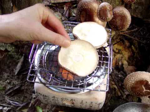 原木椎茸栽培と焼き椎茸 作り方 レシピ Youtube