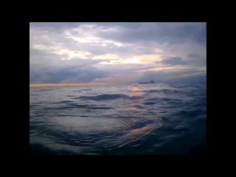 Все Цвета Черного Моря Грузии В Один День / Black Sea (Poti, Kobuleti, Batumi, Gonio Kvariati)