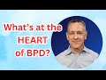 Common BPD Characteristics - BPD Course