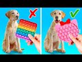 COMPILACIÓN DE TRUCOS PARA MASCOTAS || Manualidades baratas e ingeniosas para tus queridas mascotas