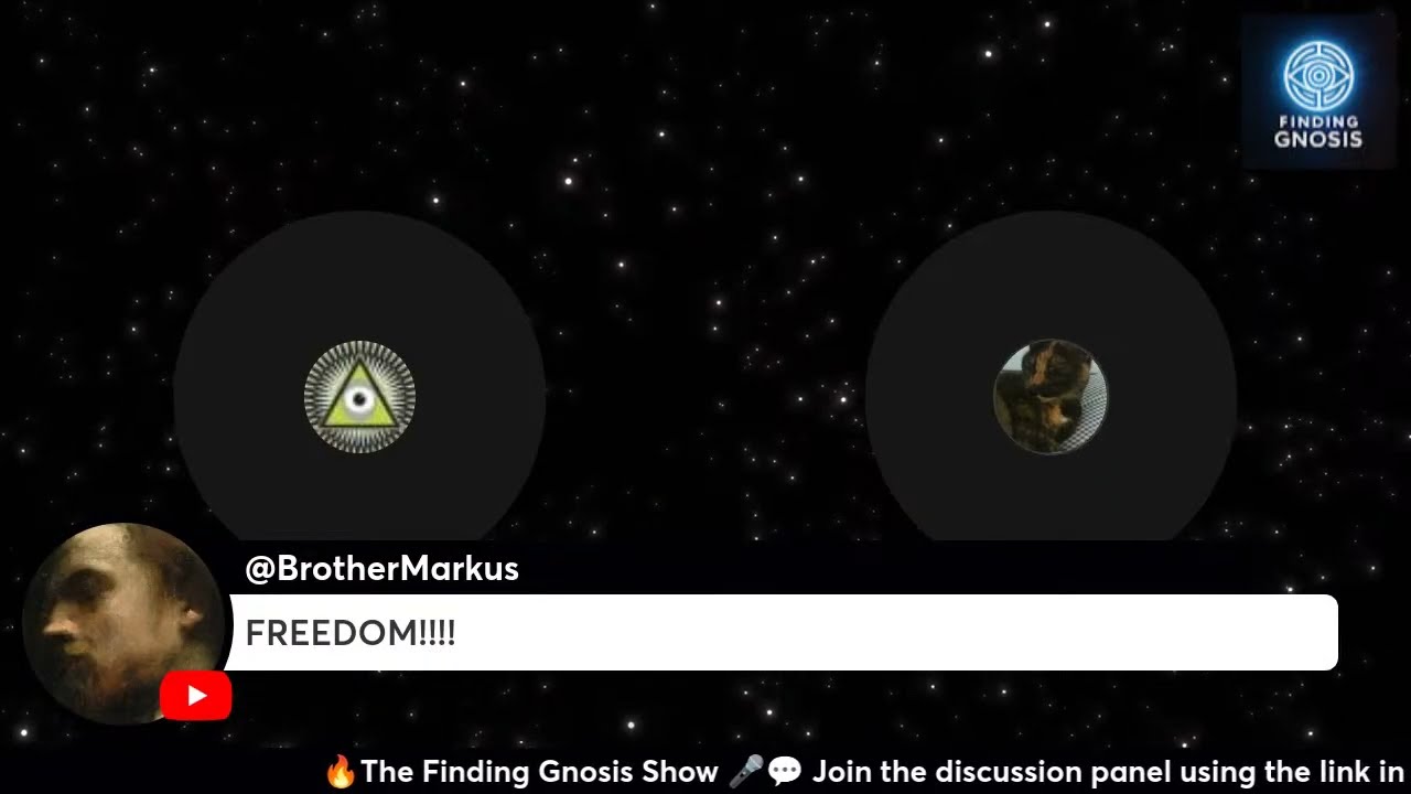 🟢 LIVE: OPEN PANEL DISCUSSION  —WHAT IS REALLY GOING ON & WHAT WE REALLY SHOULD BE DOING...