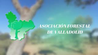 Conoce la Asociación Forestal de Valladolid