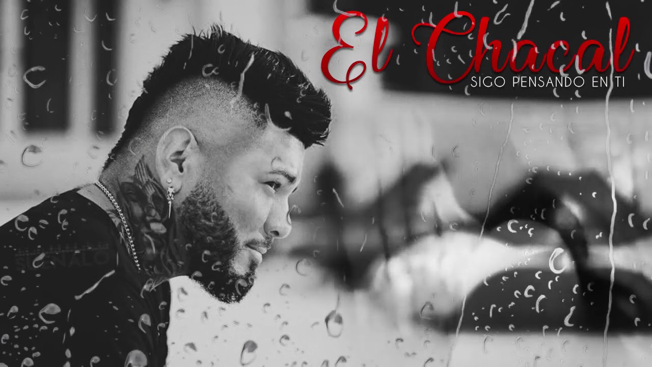 chaussures chacal 2019