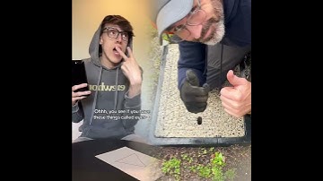 Math Teachers Be Like 😂💀 #TheManniiShow.comseries iB adam.jackal (on TikTok) #fypシ゚viral #pov