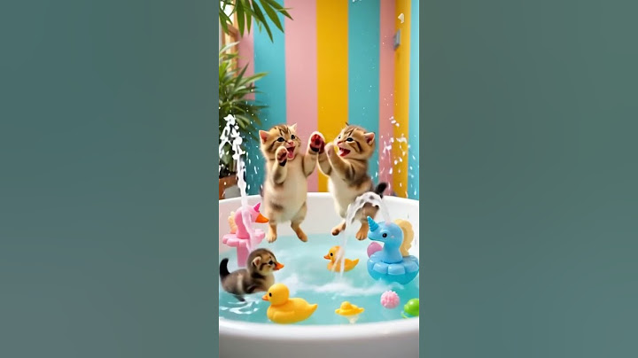 “This puff changed their whole vibe 💨➡️🤣”#funny #cat #cute #catvideos #comedy #shorts #viral #lol