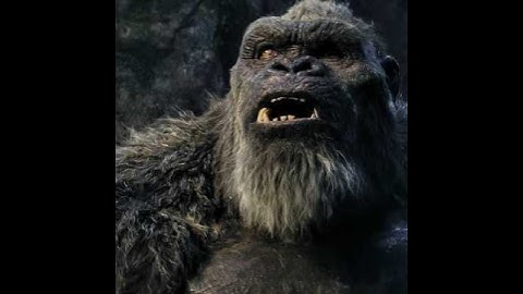Godzilla x Kong: The New Empire (2024) |Epic MonsterVerse Battle | Short Video#edit