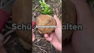 Meine Schüler Verbrachten Die Halbe Unterrichtsstunde Damit, Den Vertretungslehrer Zu Verspotten