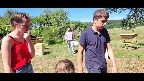 Thatre 2nd Pro Prod - Projet Apiculture - Sue Hubb...