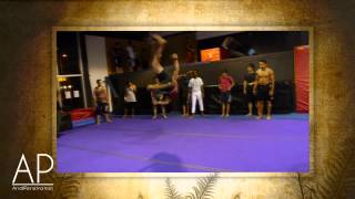 Anis Cheurfa Beatiful Sampler 2014