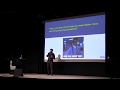 Are Your Models Resistant to Adversarial Attacks? by Marko Cotra
