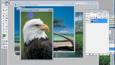graphics design bangla tutorials 2021, Photoshop 7  (part 12)