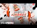 Samanta Duque - Amores (Remix) ft. Valka X Dayvi [Lyric Video]