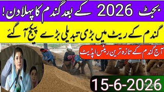 New Gandum Rates Today 2026 New Wheat Price Today L Gundam Kay Ratestoday 2026