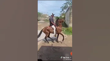 ¿Cuánto es la fuerza de una patada de caballo?