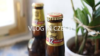 체코 일상, 체코 오스트라바 카페일상, 카페브이로그, Cafe Vlog, 체코맥주 라데가스트, 체코 국민음료 코폴라, 체코 요거트 소개, 그리고 당분간 샐러드