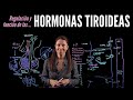 Fisiología endocrina III: Hormonas tiroideas