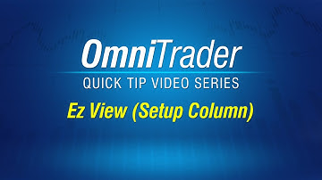 OmniTrader EZ-View