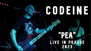 Codeine - Pea (live @ Underdogs', Prague 2023) Profile