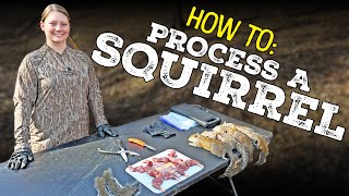 How To Process a Squirrel - With Becky Bloomfield by Kentucky Afield 1,539 views 1 month ago 5 minutes, 35 seconds