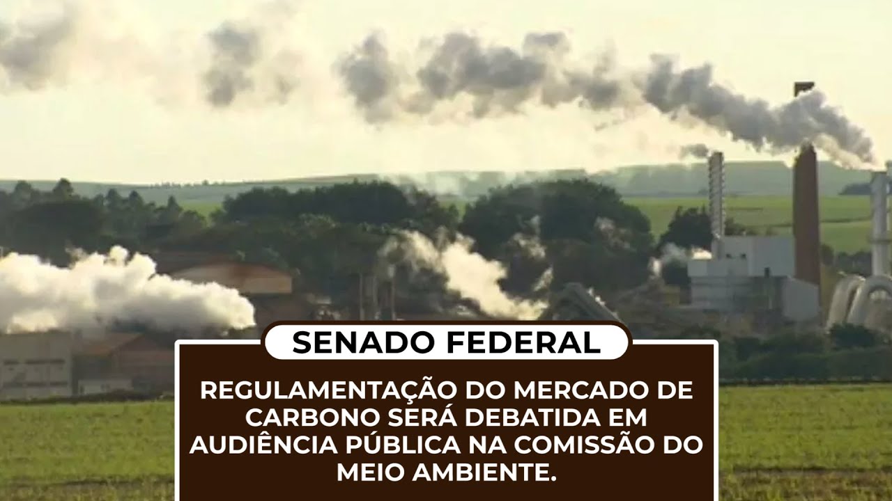 Regulamentação do mercado de carbono será debatida em audiência pública na Comissão do Meio Ambiente - youtube.com