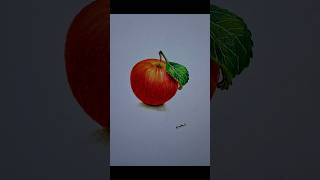 🍎 Realistic Apple Drawing with Color Pencils ✏️ #artshorts #appledrawing #art #artist #shortsfeed