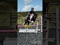 Impossible! 😂#showjumping #equ #equestrian #horse #pony #funny