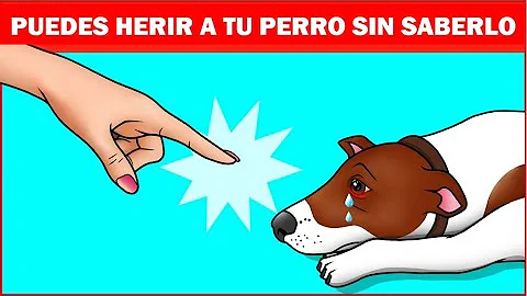 ¿Debe gritar a su perro para disciplinarlo?