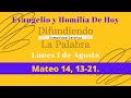 Evangelio Y Homilía De Hoy Lunes 1 De Agosto de 2022