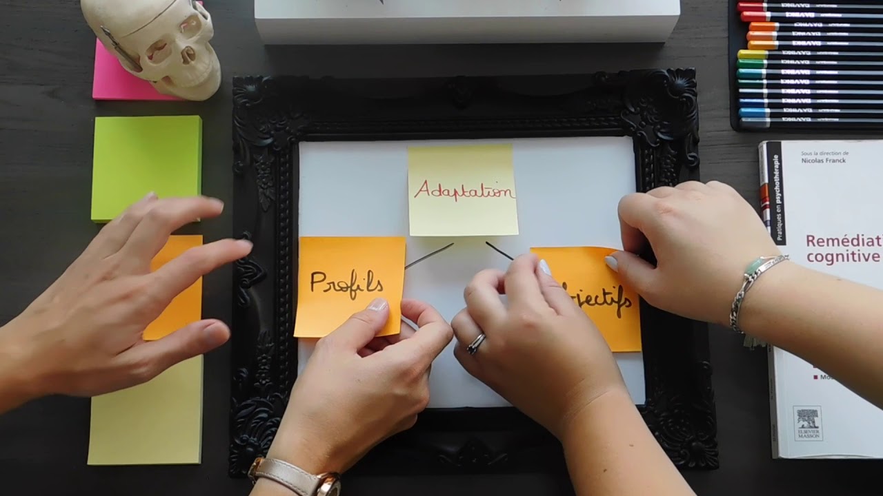 Les Prises En Charges Table Portail Français Schizophrénie - 