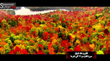 صلاة عشاء 22 ربيع الثاني 1436 القارئ خالد الجليل سورة النمل 4