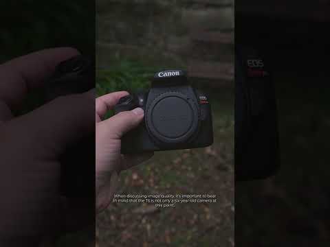 Video: Er Canon t6i et kamera med beskjæringssensor?