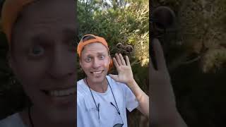 Finding The Most Dangerous Animal In Australia