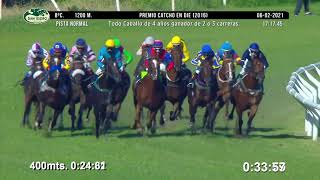 Vidéo de la course PMU PREMIO CATCHO EN DIE 2016