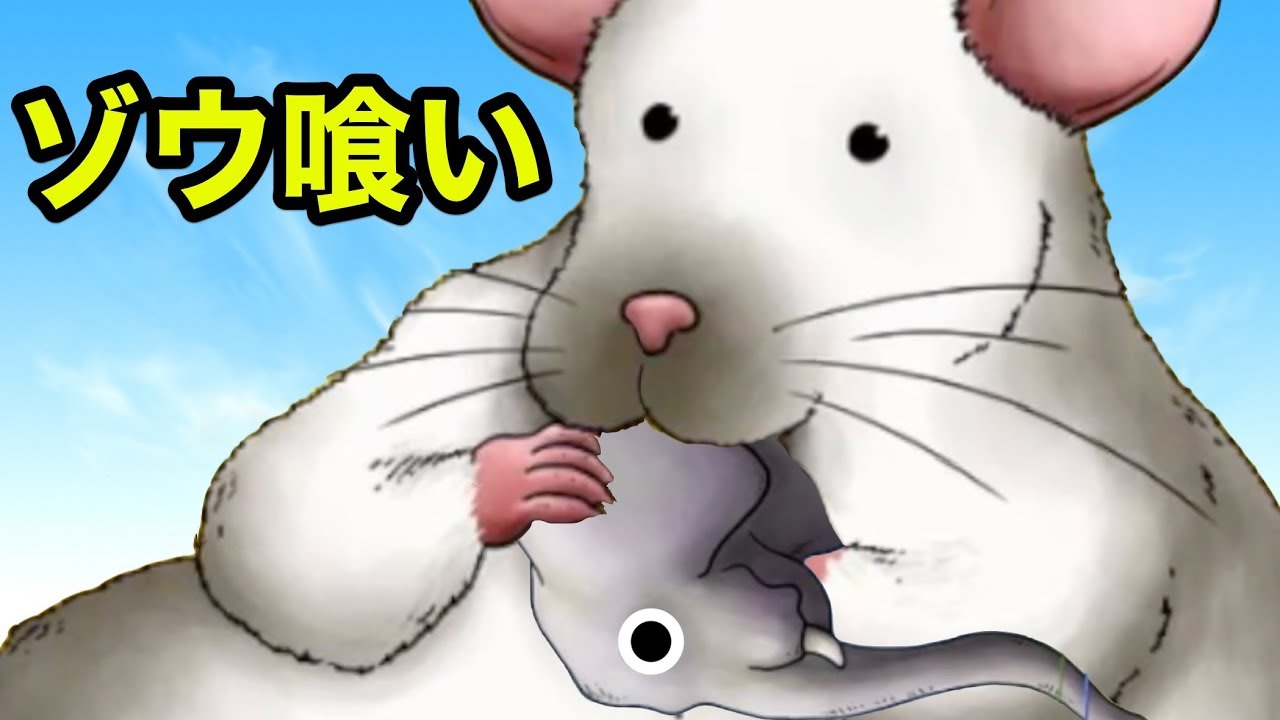 The World's Largest Giant Rat Eats an Elephant!【 Tasty Planet