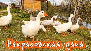 Отдых в России. Ярославль. Где отдохнуть? 