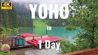 1 Day at Yoho National Park in the Canadian Rockies | Takakkaw falls | Emerald lake | Confluent