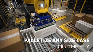 Empower Your Efficiency: OntheFly Palletizing with Autotec Solutions' Random Case Palletizer