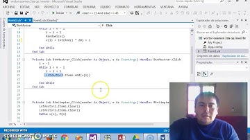 Vector invertido en Visual Basic 2012