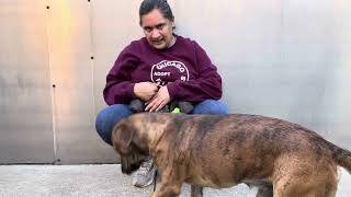Nero A302267