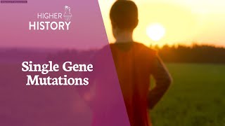 Higher Biology - Single Gene Mutations Affect On Protein Production