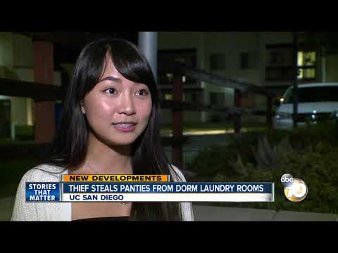 theif steals panties form dorm laundry rooms