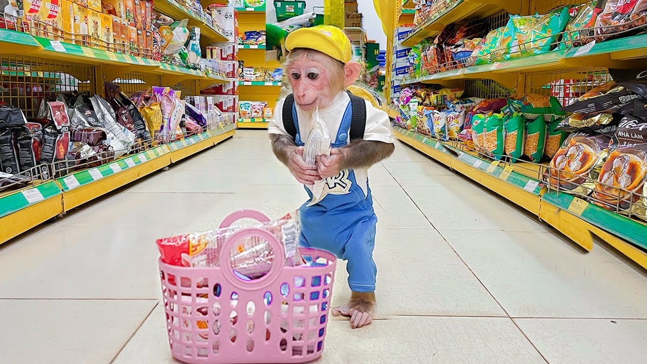 Super Chef CUBIS busy Go Supermarket to Buy Dog Food