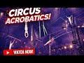 Beautiful &amp; Spectacular Circus Video | Must-Watch Performance 🎭 🇳🇱